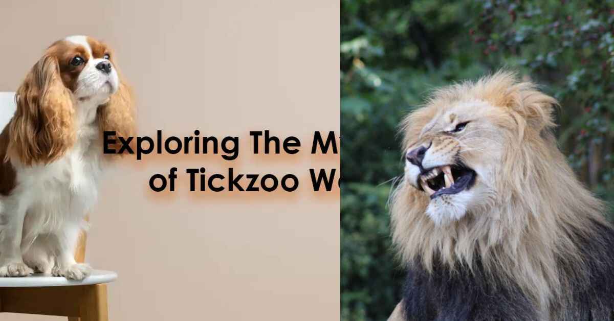 The Future of TickZoo